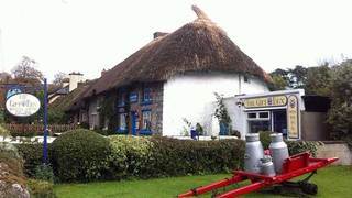 Berkeley Lodge Limerick Junction 外观 照片