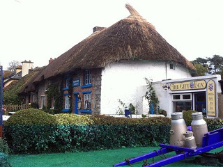 Berkeley Lodge Limerick Junction 外观 照片